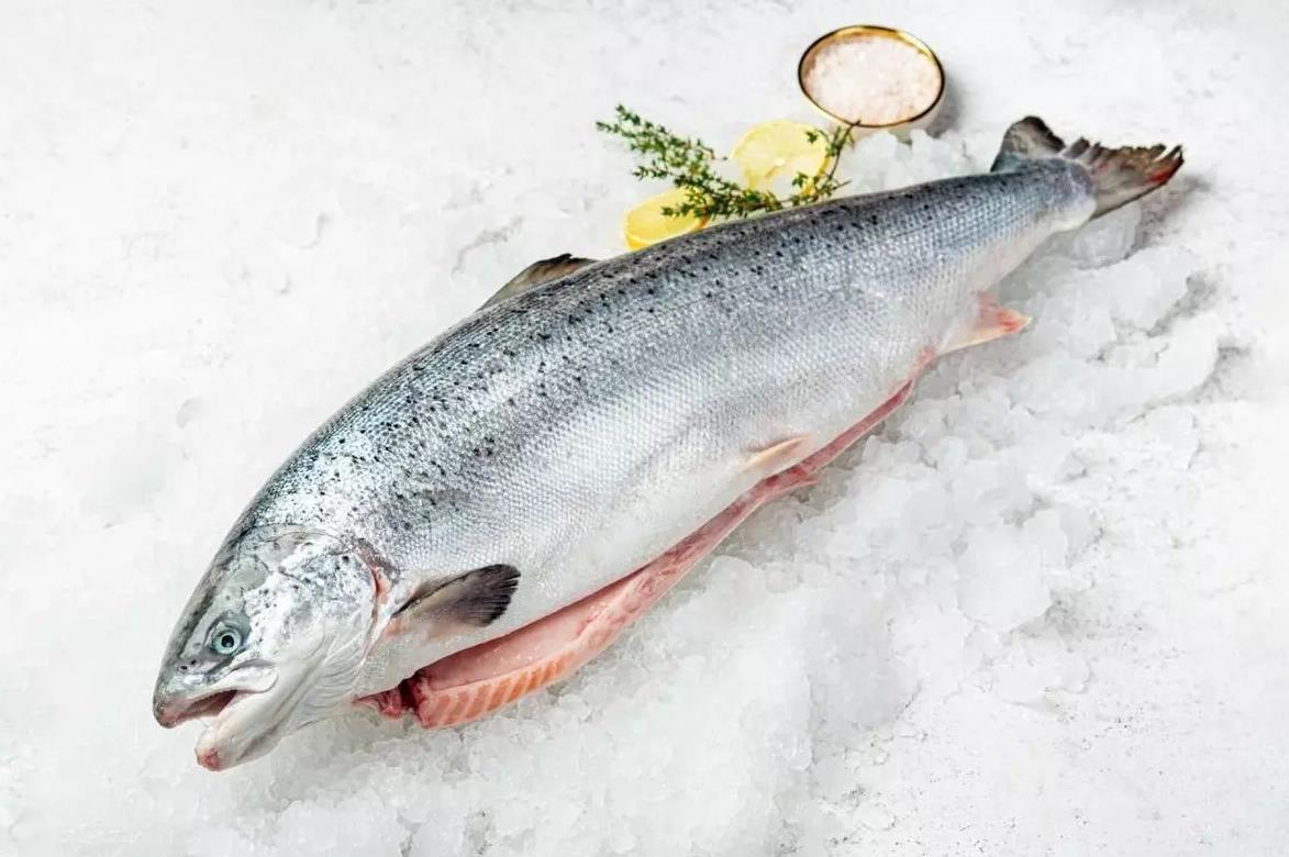 What is the difference between salmon, salmon, trout, pink salmon and chum salmon