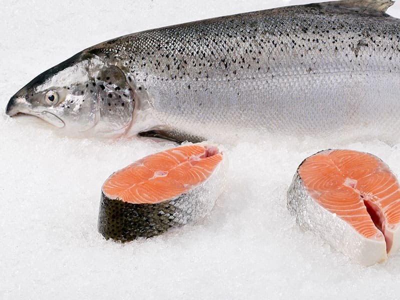 Salmon (aquaculture) salted (sushi), fillet slices without skin - Old Fisherman