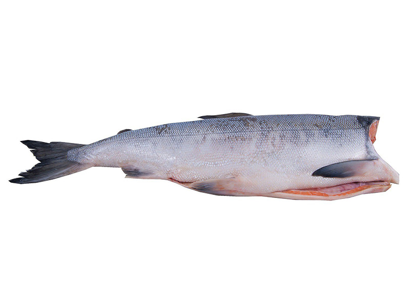 Pink salmon wild frozen, gutted carcass without head - Old Fisherman